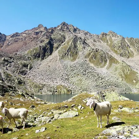 Simone By Interhome Apartment Sölden